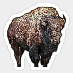 Bison Sticker